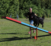 Agility Elke